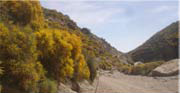 malferien in andalusien, terasse