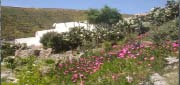 malferien in andalusien, finca
